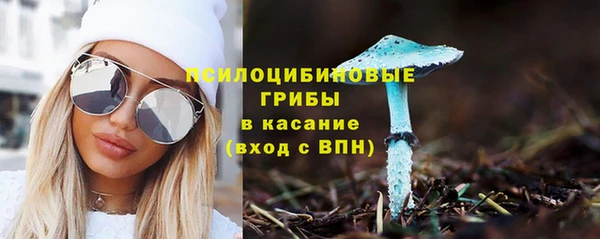 стафф Нягань