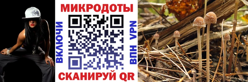 сайты даркнета как зайти  Катав-Ивановск  Галлюциногенные грибы Magic Shrooms 