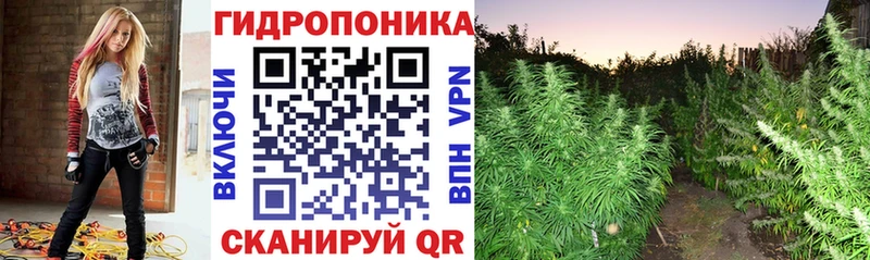 Бошки Шишки план  Катав-Ивановск 